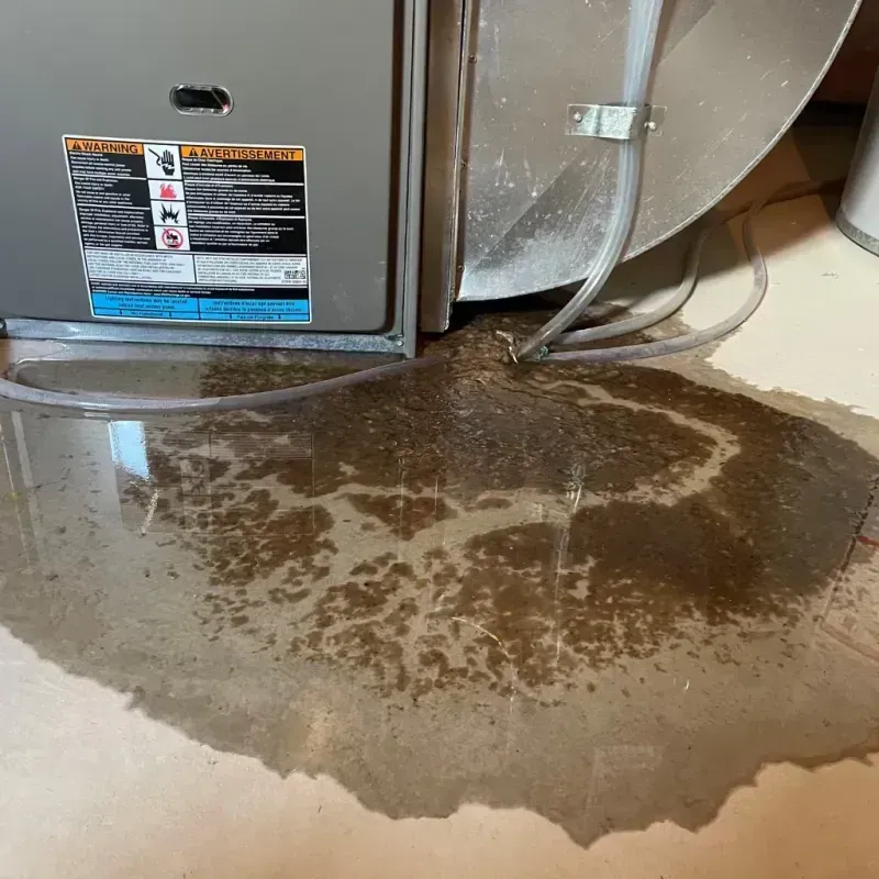 Appliance Leak Cleanup in Breezy Point, MN